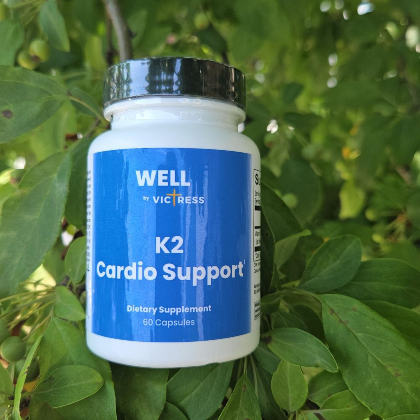 K2 Cardio Support