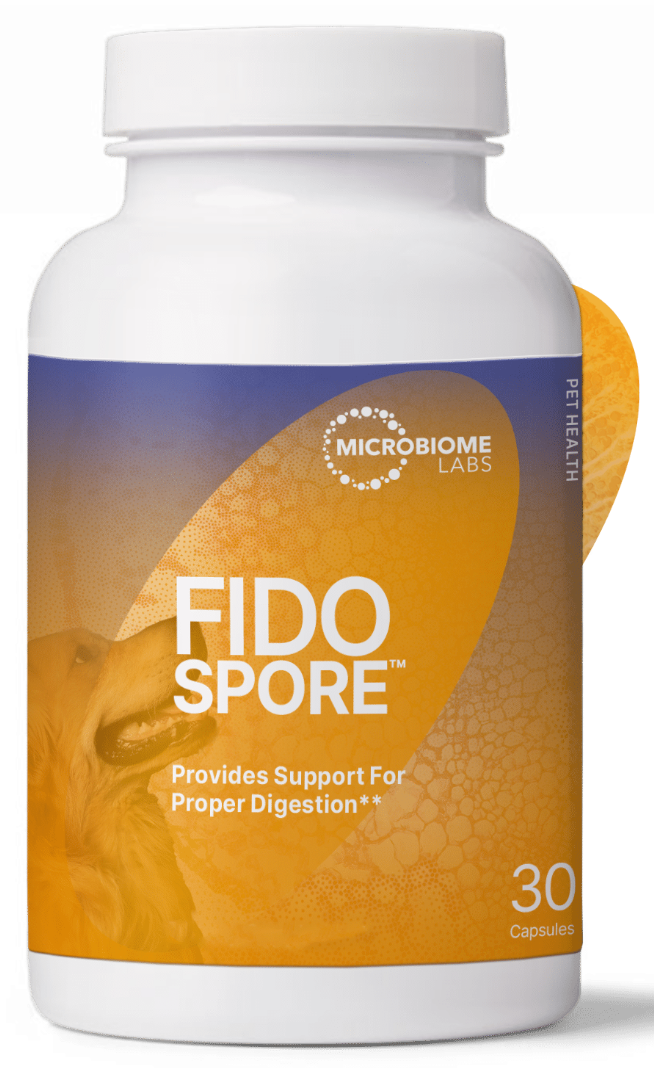 Fidospore