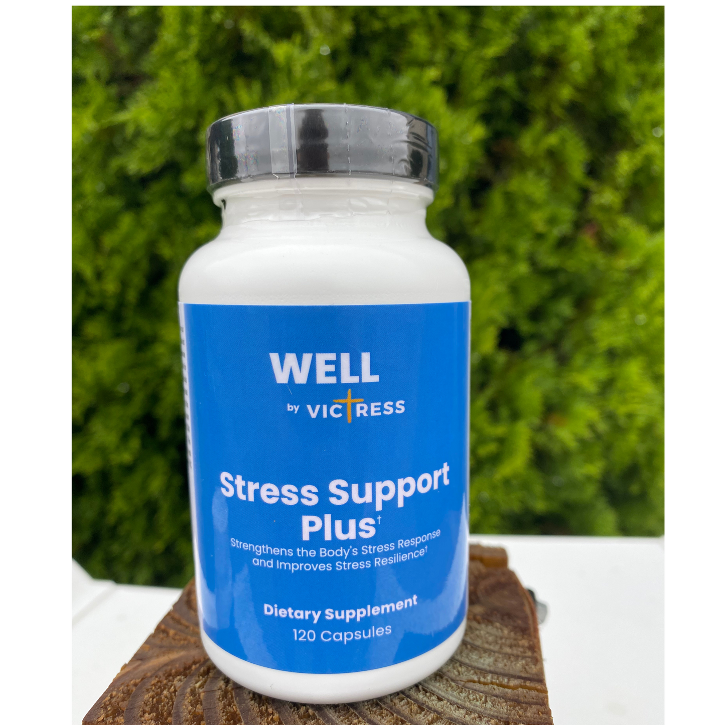 Stress Support Plus