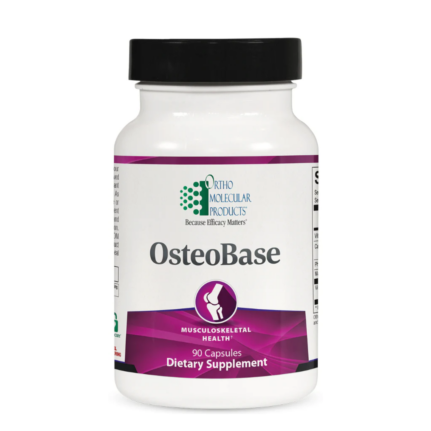 OsteoBase